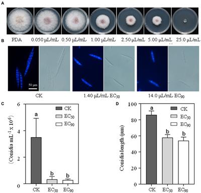 Limonene formulation exhibited potential application in the control of mycelial growth and deoxynivalenol production in Fusarium graminearum